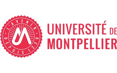 study in france for international students