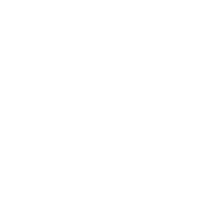 education consultancy services