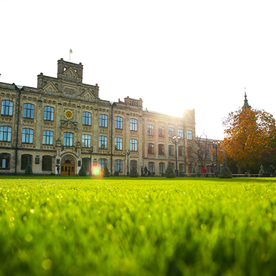 education consultancy