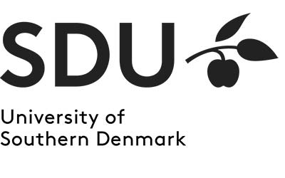 courses in denmark
