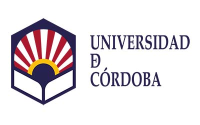 spain universities for international students