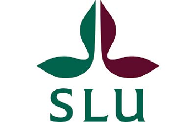top universities in sweden