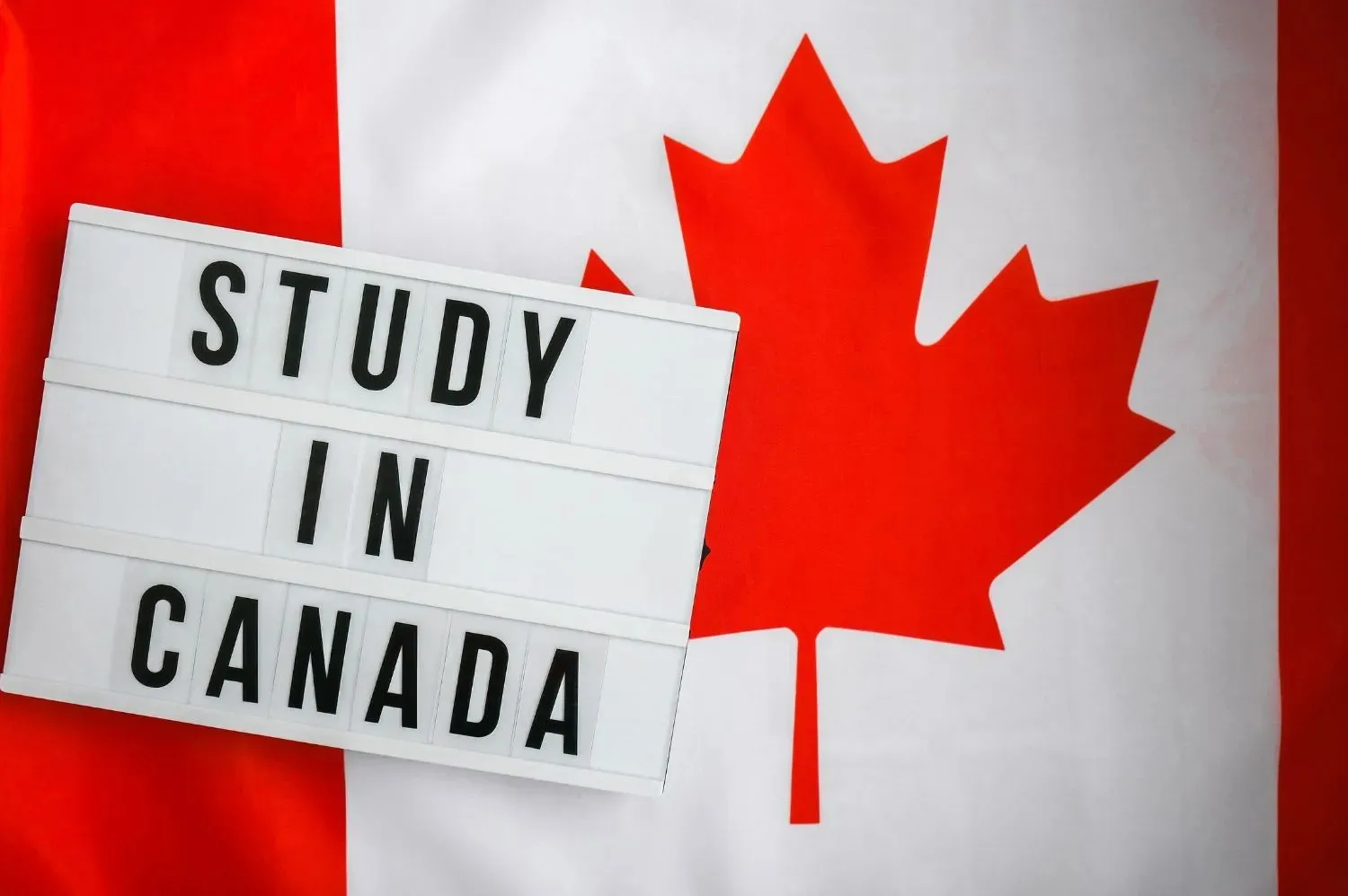 Study In Canada | Build A Bright Future And Global Career